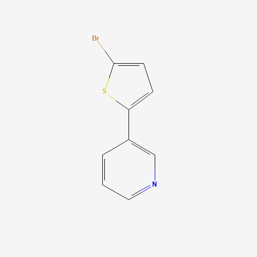 3-(5-bromothiophen-2-yl)pyridine (CAS: 169050-05-9) - Related Chemical Product