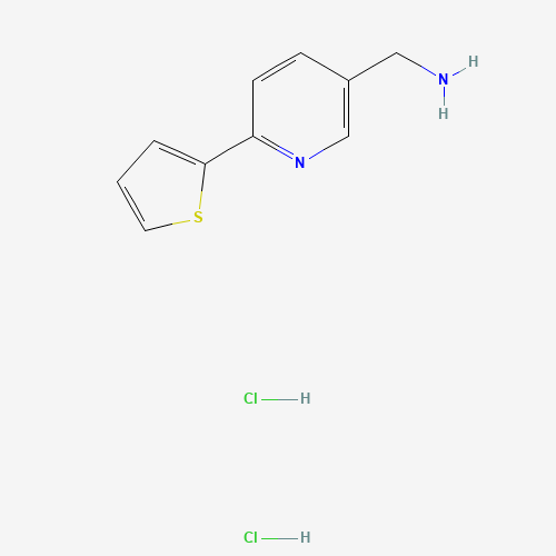 (6-thiophen-2-ylpyridin-3-yl)methanamine;dihydrochloride (CAS: 913830-32-7) - Related Chemical Product