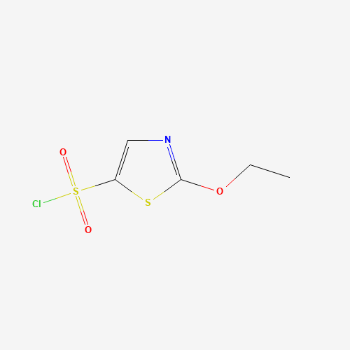2-ethoxy-1,3-thiazole-5-sulfonyl chloride (CAS: 1432129-33-3) - Related Chemical Product