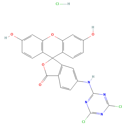 5-[(4,6-dichloro-1,3,5-triazin-2-yl)amino]-3',6'-dihydroxyspiro[2-benzofuran-3,9'-xanthene]-1-one;hydrochloride (CAS: 118357-32-7) - Related Chemical Product