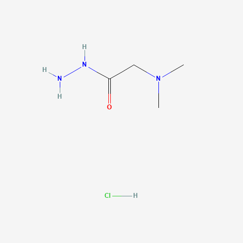 2-(dimethylamino)acetohydrazide;hydrochloride (CAS: 539-64-0) - Related Chemical Product