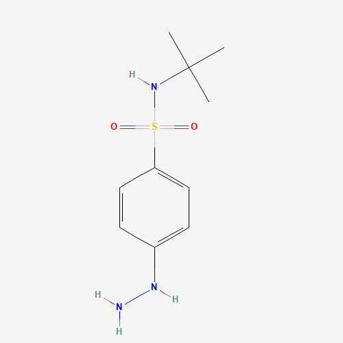N-tert-butyl-4-hydrazinylbenzenesulfonamide (CAS: 184708-11-0) - Related Chemical Product