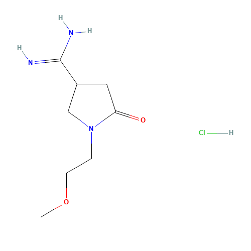 1-(2-methoxyethyl)-5-oxopyrrolidine-3-carboximidamide;hydrochloride (CAS: 1272756-21-4) - Related Chemical Product