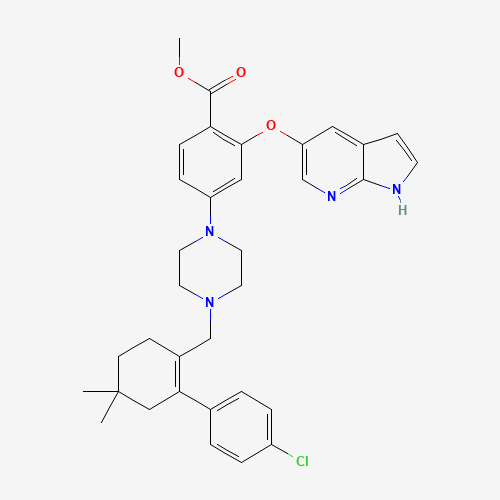 methyl 4-[4-[[2-(4-chlorophenyl)-4,4-dimethylcyclohexen-1-yl]methyl]piperazin-1-yl]-2-(1H-pyrrolo[2,3-b]pyridin-5-yloxy)benzoate (CAS: 1235865-76-5) - Chemical Structure and Molecular Formula 