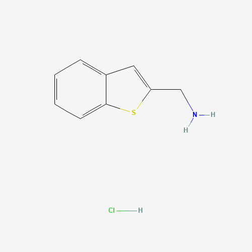 1-benzothiophen-2-ylmethanamine;hydrochloride (CAS: 247570-04-3) - Related Chemical Product