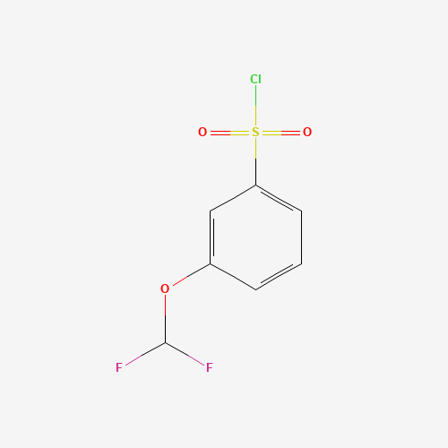 3-(difluoromethoxy)benzenesulfonyl chloride (CAS: 351003-38-8) - Related Chemical Product