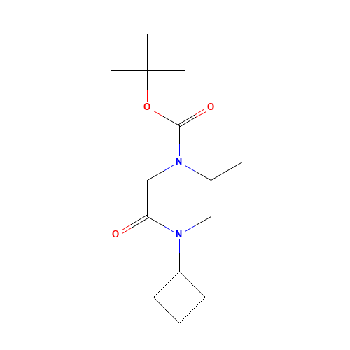 tert-butyl 4-cyclobutyl-2-methyl-5-oxopiperazine-1-carboxylate (CAS: 1284246-07-6) - Related Chemical Product
