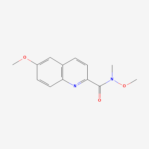 N,6-dimethoxy-N-methylquinoline-2-carboxamide (CAS: 875558-51-3) - Related Chemical Product