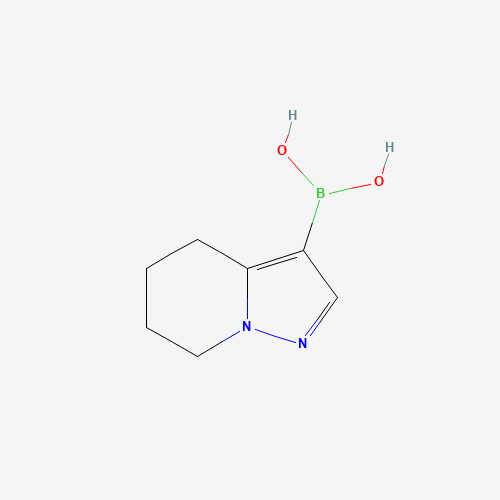 4,5,6,7-tetrahydropyrazolo[1,5-a]pyridin-3-ylboronic acid (CAS: 1346526-59-7) - Related Chemical Product