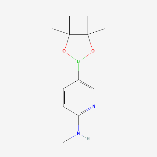 N-methyl-5-(4,4,5,5-tetramethyl-1,3,2-dioxaborolan-2-yl)pyridin-2-amine (CAS: 1005009-98-2) - Related Chemical Product