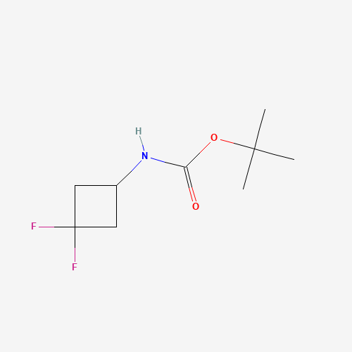 tert-butyl N-(3,3-difluorocyclobutyl)carbamate (CAS: 1029720-19-1) - Chemical Structure and Molecular Formula 