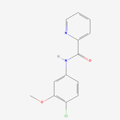 N-(4-chloro-3-methoxyphenyl)pyridine-2-carboxamide (CAS: 1161205-04-4) - Related Chemical Product
