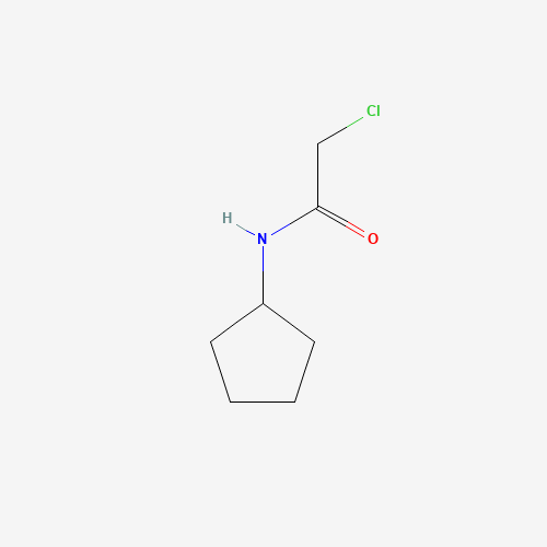 2-chloro-N-cyclopentylacetamide (CAS: 125674-23-9) - Related Chemical Product