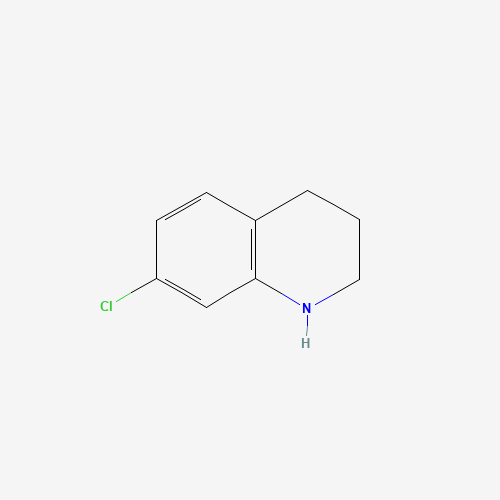 7-chloro-1,2,3,4-tetrahydroquinoline (CAS: 90562-35-9) - Related Chemical Product