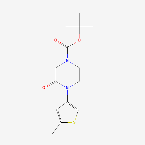 tert-butyl 4-(5-methylthiophen-3-yl)-3-oxopiperazine-1-carboxylate (CAS: 1284249-87-1) - Chemical Structure and Molecular Formula 