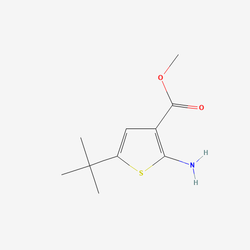 methyl 2-amino-5-tert-butylthiophene-3-carboxylate (CAS: 216574-71-9) - Chemical Structure and Molecular Formula 
