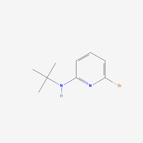 6-bromo-N-tert-butylpyridin-2-amine (CAS: 463336-73-4) - Related Chemical Product