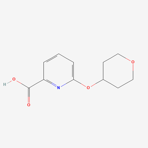 6-(oxan-4-yloxy)pyridine-2-carboxylic acid (CAS: 906352-78-1) - Related Chemical Product