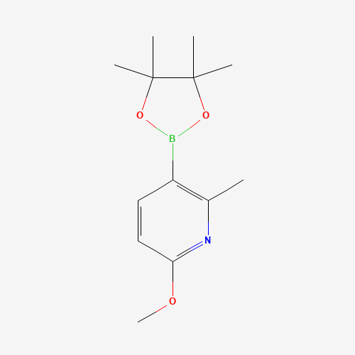 6-methoxy-2-methyl-3-(4,4,5,5-tetramethyl-1,3,2-dioxaborolan-2-yl)pyridine (CAS: 1080028-73-4) - Related Chemical Product