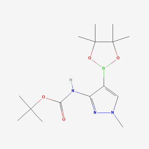tert-butyl N-[1-methyl-4-(4,4,5,5-tetramethyl-1,3,2-dioxaborolan-2-yl)pyrazol-3-yl]carbamate (CAS: 1021735-84-1) - Related Chemical Product