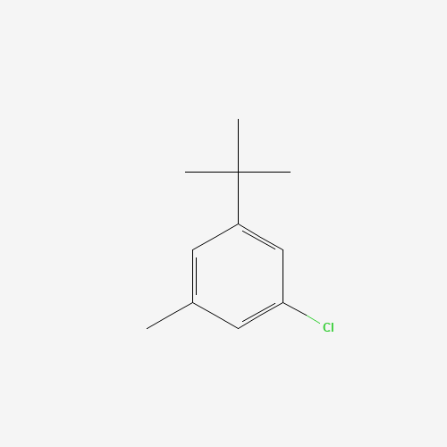 1-tert-butyl-3-chloro-5-methylbenzene (CAS: 61468-39-1) - Related Chemical Product