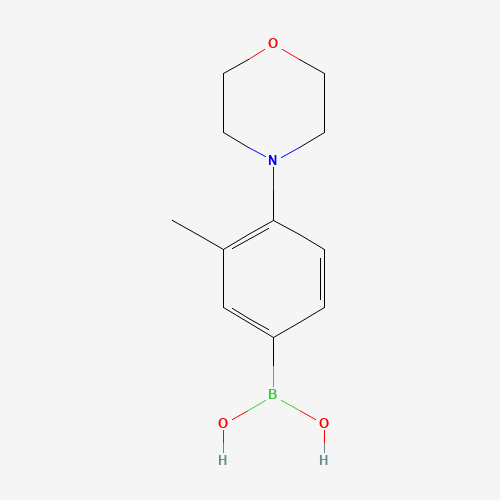 (3-methyl-4-morpholin-4-ylphenyl)boronic acid (CAS: 1426245-63-7) - Related Chemical Product