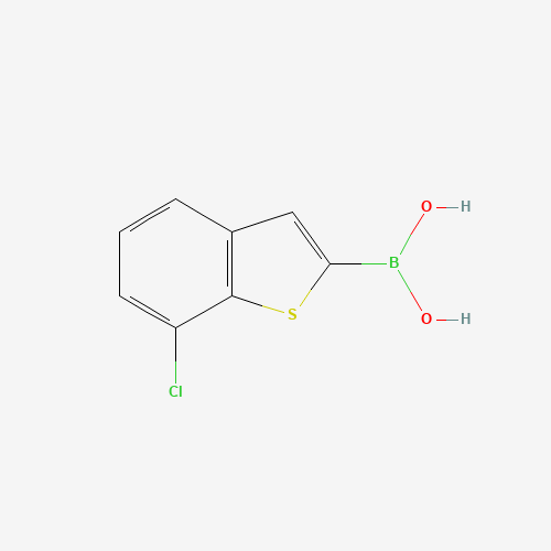 (7-chloro-1-benzothiophen-2-yl)boronic acid (CAS: 936902-06-6) - Related Chemical Product