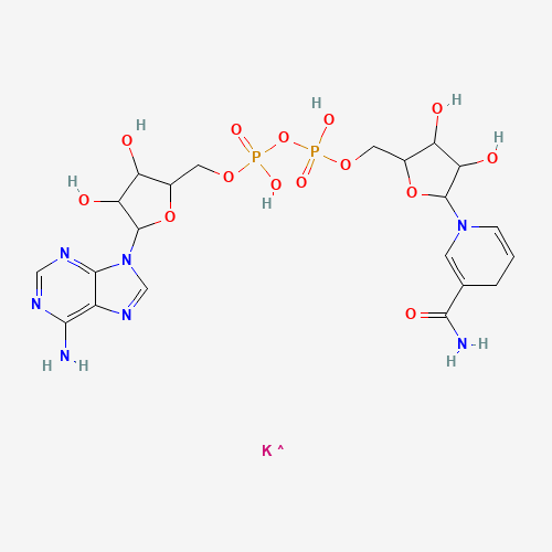 [[5-(6-aminopurin-9-yl)-3,4-dihydroxyoxolan-2-yl]methoxy-hydroxyphosphoryl] [5-(3-carbamoyl-4H-pyridin-1-yl)-3,4-dihydroxyoxolan-2-yl]methyl hydrogen phosphate;potassium (CAS: 104809-32-7) - Related Chemical Product