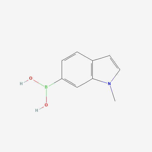 (1-methylindol-6-yl)boronic acid (CAS: 346585-03-3) - Related Chemical Product
