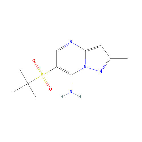 6-tert-butylsulfonyl-2-methylpyrazolo[1,5-a]pyrimidin-7-amine (CAS: 519056-49-6) - Related Chemical Product