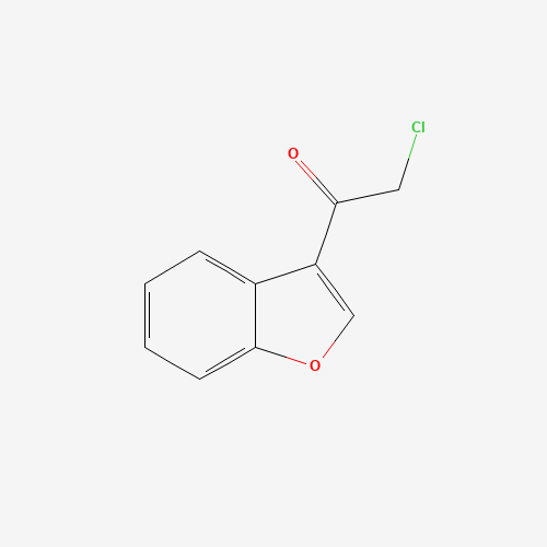 1-(1-benzofuran-3-yl)-2-chloroethanone (CAS: 102878-09-1) - Related Chemical Product