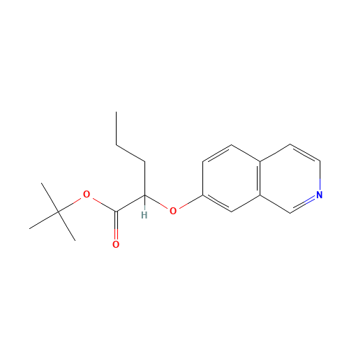 tert-butyl 2-isoquinolin-7-yloxypentanoate (CAS: 405271-98-9) - Related Chemical Product