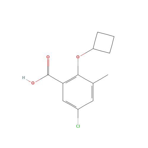 5-chloro-2-cyclobutyloxy-3-methylbenzoic acid (CAS: 1092448-17-3) - Chemical Structure and Molecular Formula 