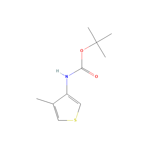 tert-butyl N-(4-methylthiophen-3-yl)carbamate (CAS: 1097629-78-1) - Related Chemical Product