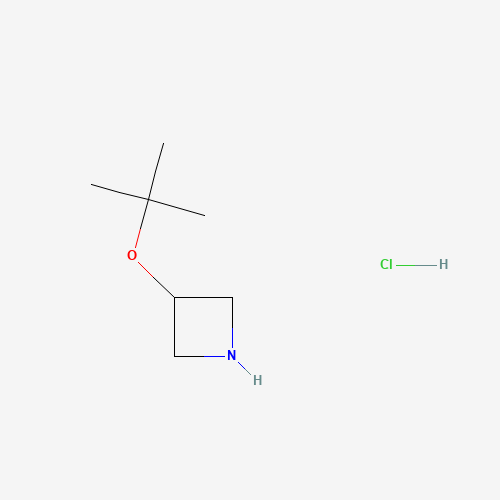 3-[(2-methylpropan-2-yl)oxy]azetidine;hydrochloride (CAS: 1384429-32-6) - Related Chemical Product
