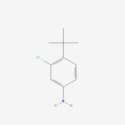 4-tert-butyl-3-chloroaniline (CAS: 52756-36-2) - Chemical Structure and Molecular Formula 