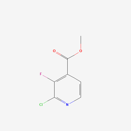 methyl 2-chloro-3-fluoropyridine-4-carboxylate (CAS: 628691-95-2) - Chemical Structure and Molecular Formula 