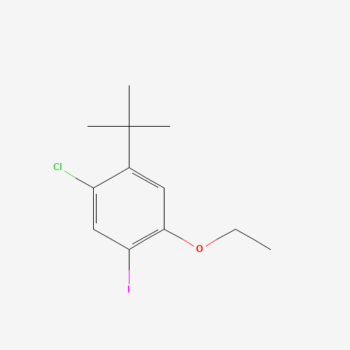 1-tert-butyl-2-chloro-5-ethoxy-4-iodobenzene (CAS: 870007-49-1) - Related Chemical Product
