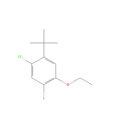 1-tert-butyl-2-chloro-5-ethoxy-4-iodobenzene (CAS: 870007-49-1) - Chemical Structure and Molecular Formula 