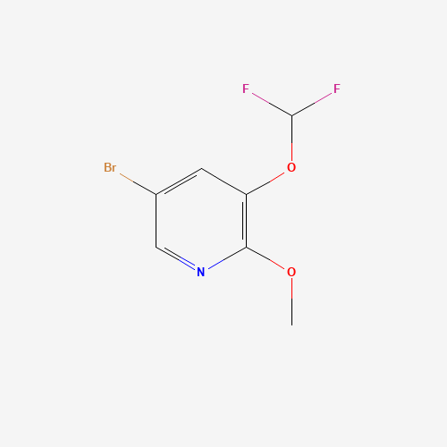 5-bromo-3-(difluoromethoxy)-2-methoxypyridine (CAS: 1241752-50-0) - Related Chemical Product