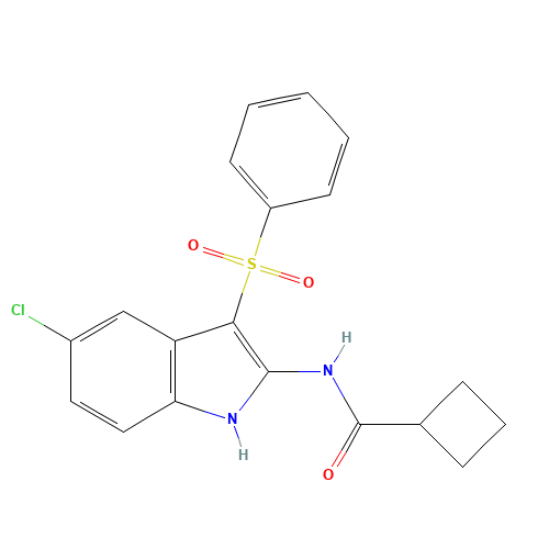 N-[3-(benzenesulfonyl)-5-chloro-1H-indol-2-yl]cyclobutanecarboxamide (CAS: 918493-32-0) - Related Chemical Product