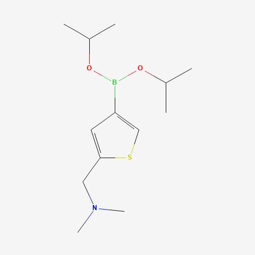 1-[4-di(propan-2-yloxy)boranylthiophen-2-yl]-N,N-dimethylmethanamine (CAS: 1075220-40-4) - Chemical Structure and Molecular Formula 