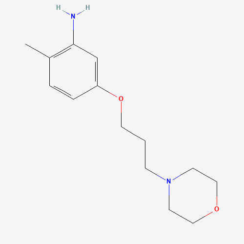 2-methyl-5-(3-morpholin-4-ylpropoxy)aniline (CAS: 1420998-54-4) - Related Chemical Product