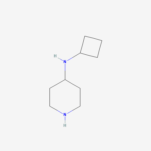 N-cyclobutylpiperidin-4-amine (CAS: 928818-04-6) - Chemical Structure and Molecular Formula 