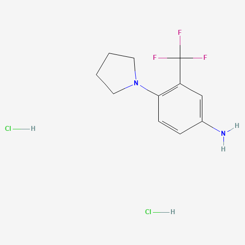 4-pyrrolidin-1-yl-3-(trifluoromethyl)aniline;dihydrochloride (CAS: 1158215-71-4) - Related Chemical Product