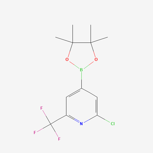 2-chloro-4-(4,4,5,5-tetramethyl-1,3,2-dioxaborolan-2-yl)-6-(trifluoromethyl)pyridine (CAS: 1218790-05-6) - Related Chemical Product
