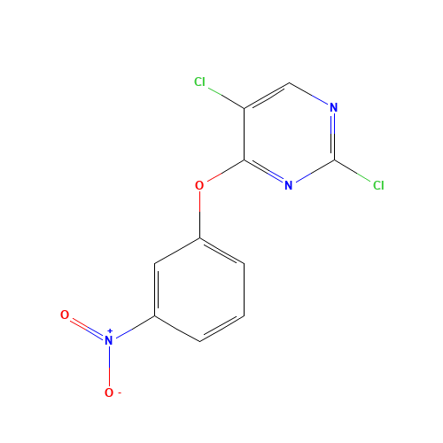2,5-dichloro-4-(3-nitrophenoxy)pyrimidine (CAS: 76661-24-0) - Related Chemical Product