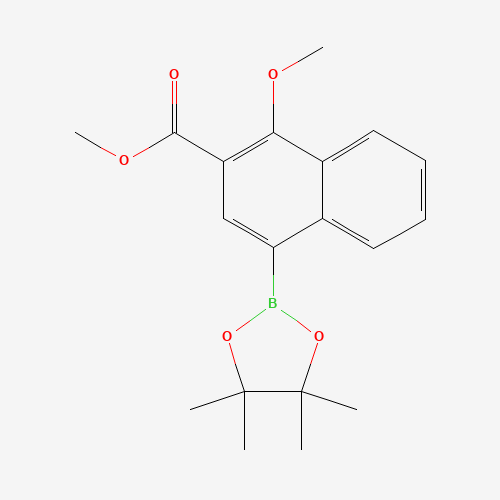 methyl 1-methoxy-4-(4,4,5,5-tetramethyl-1,3,2-dioxaborolan-2-yl)naphthalene-2-carboxylate (CAS: 1350968-90-9) - Related Chemical Product