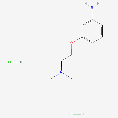 3-[2-(dimethylamino)ethoxy]aniline;dihydrochloride (CAS: 941319-37-5) - Related Chemical Product