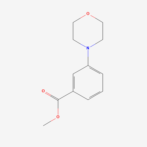 methyl 3-morpholin-4-ylbenzoate (CAS: 145127-37-3) - Related Chemical Product